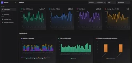 Voice AI